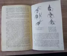  vpk_utes_kniga_nachalnaya_voennyay_podgotovka_list_191