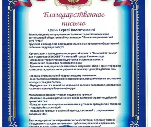  diplom_suchin_2025