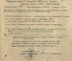 Наградной лист Прадед Николай Борисович, второй "За отвагу"