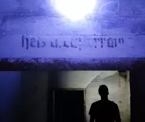 den-vmf