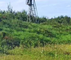 poligon